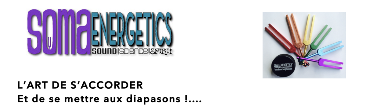 Niveau 1 – Diapasons énergétiques