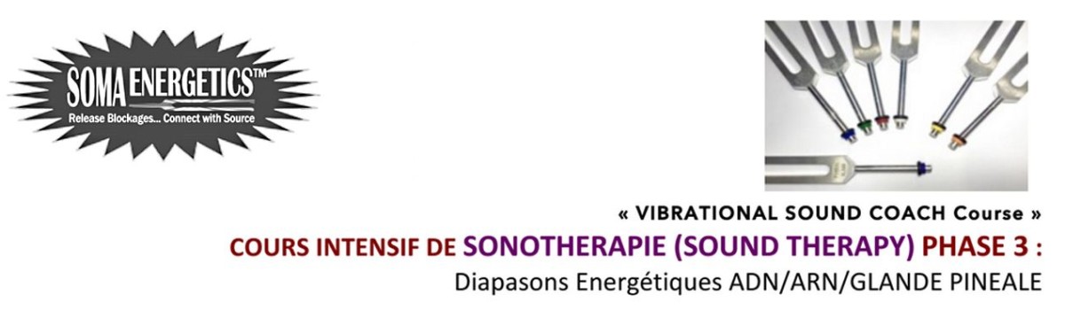 Niveau 3 – Diapasons ADN/ARN