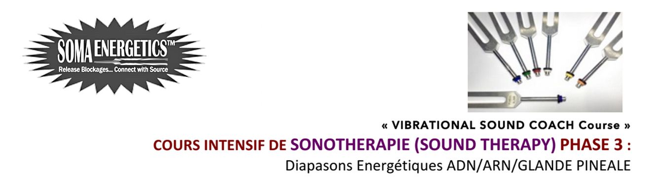 Niveau 3 – Diapasons ADN/ARN